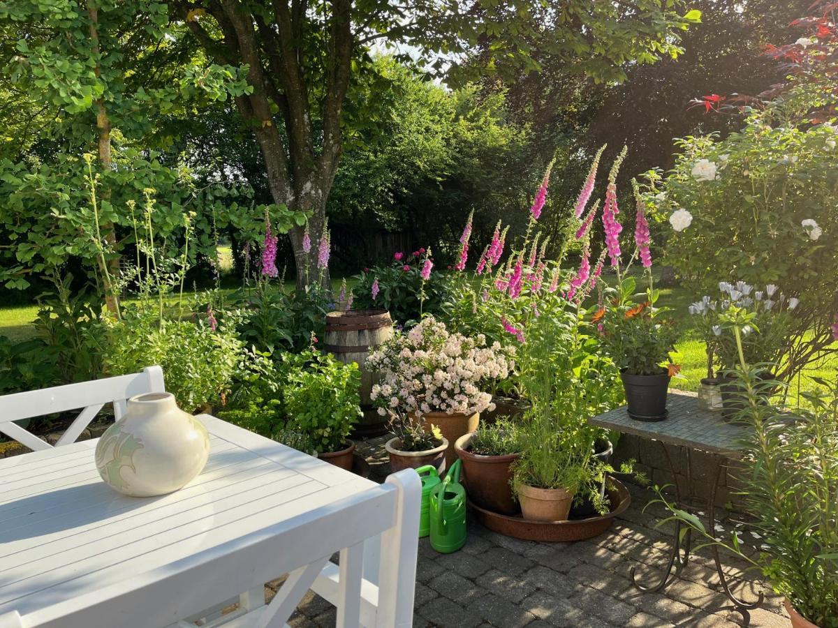 Fuglsang Bed & Breakfast Hjørring Extérieur photo